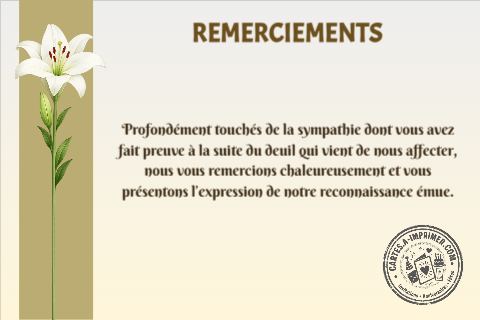 Remerciements