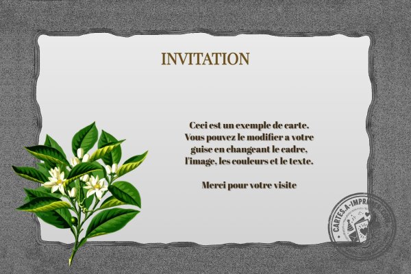 Carte créée le 2026-08-01 22:24:38
